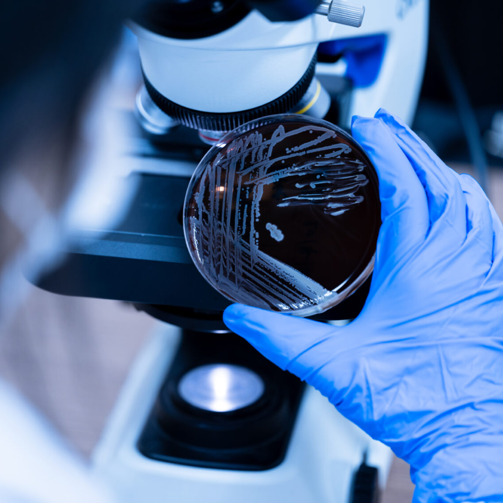 Consultazione professionale